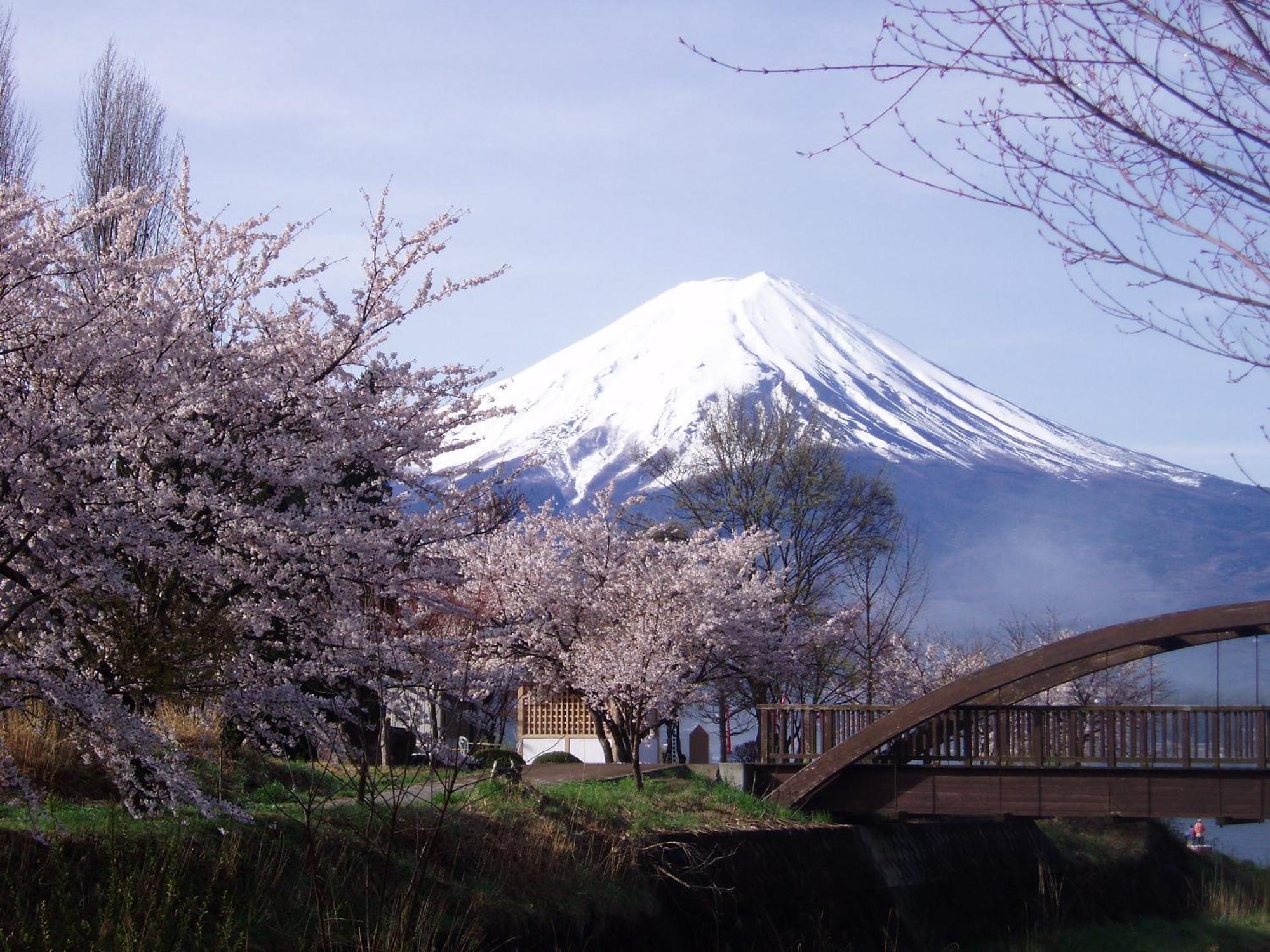 Komaya Ryokan, Fujikawaguchiko